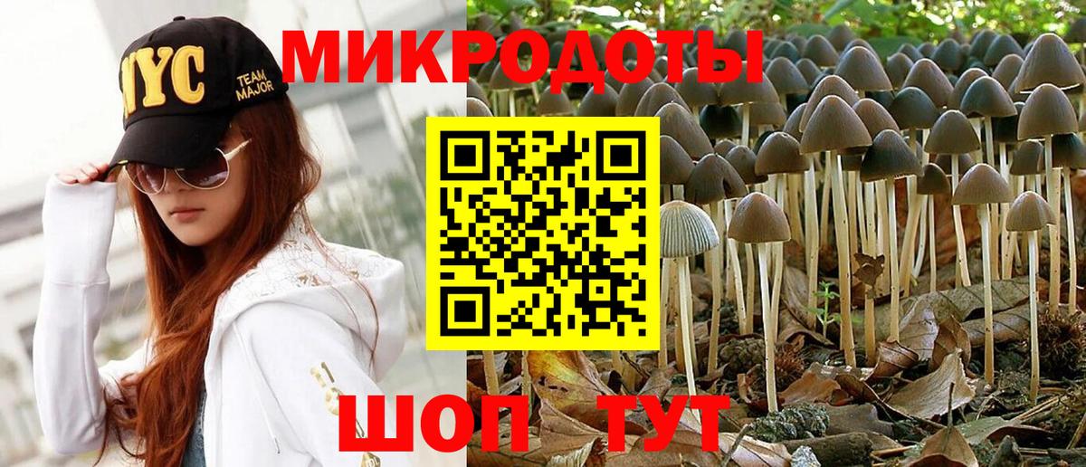 Галлюциногенные грибы мицелий Жигулёвск