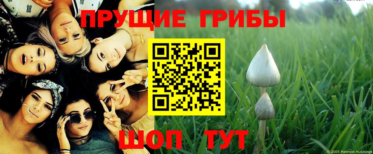 Псилоцибиновые грибы MAGIC MUSHROOMS  Вход с VPN  Псилоцибиновые грибы Psilocybe  Жигулёвск 